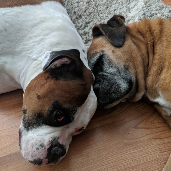 Meet your Posher, Clair - Picture 3 of 8